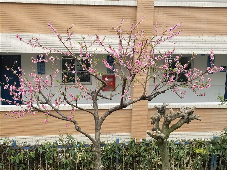 南实的四季