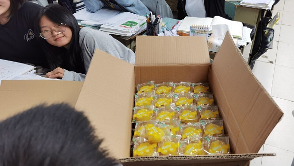 传承文化   感受佳节