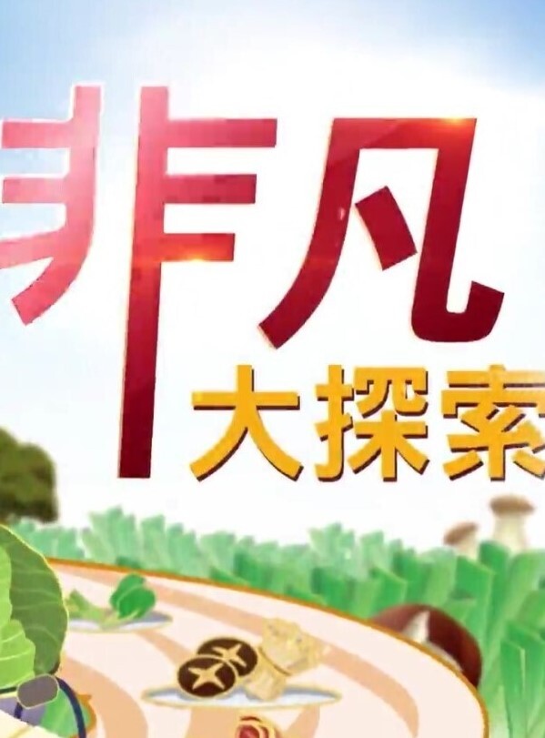 精品偷拍美女被操的满口淫语大叫喜欢你操我鸡巴又粗又长把我小骚逼都操开了好痒啊 - 小白菜