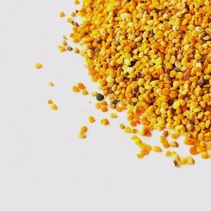 pollen-built-by-bees