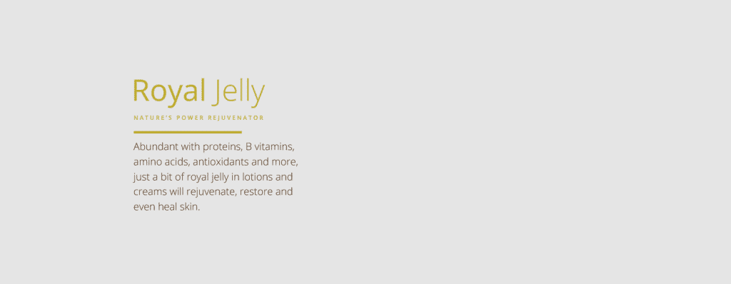 日本少女+18