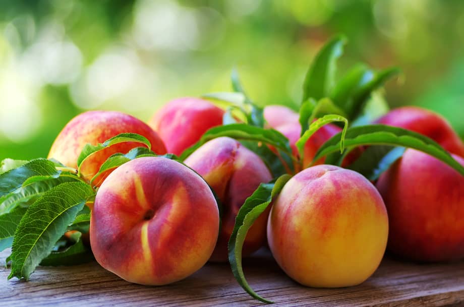 Sweet Georgia Peach Honey Shrub - Image 2