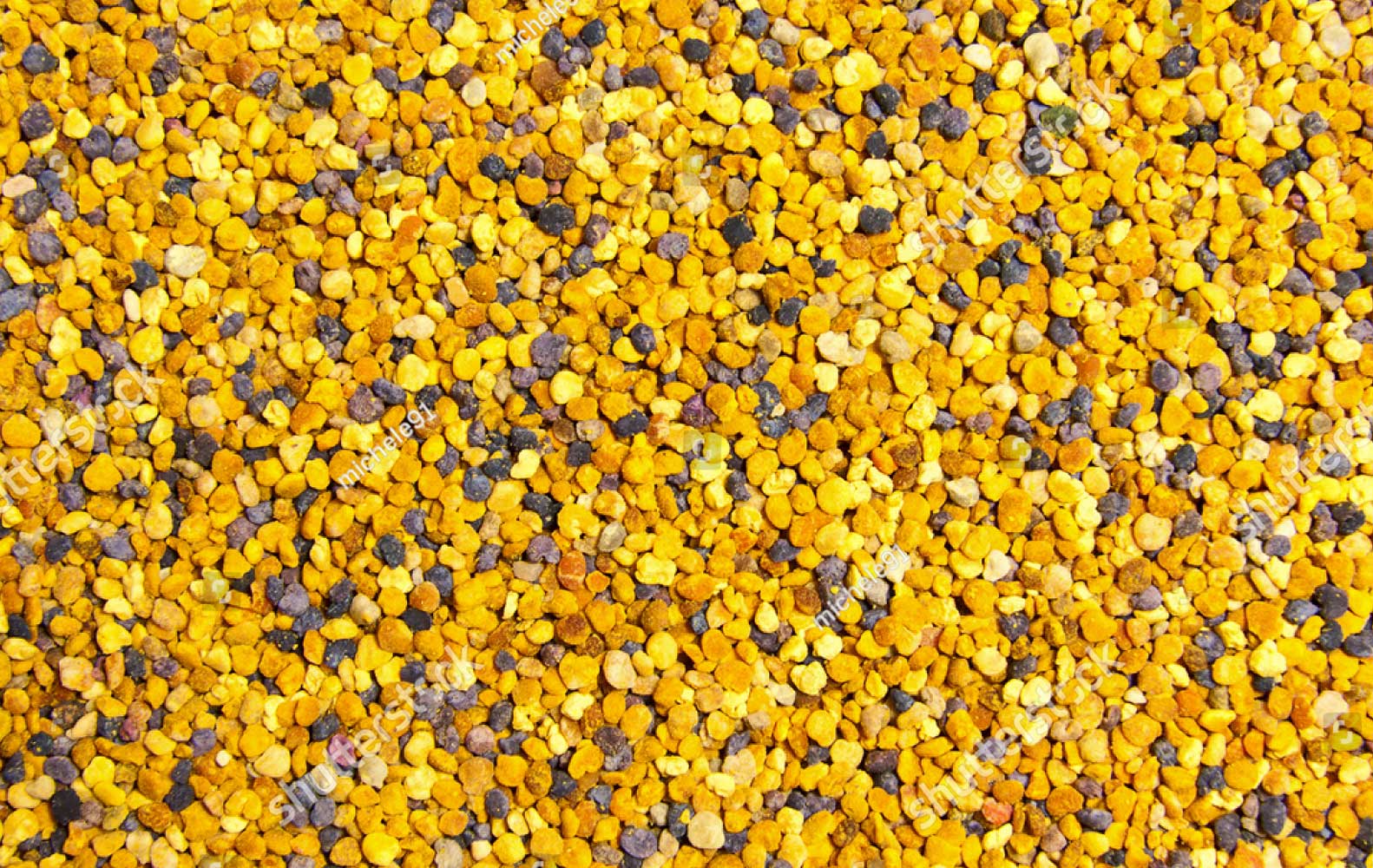 Nutritious Raw Bee Pollen Benefits