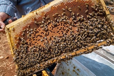 曰批免费视频播放免费