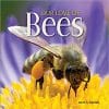 The Love of Bees