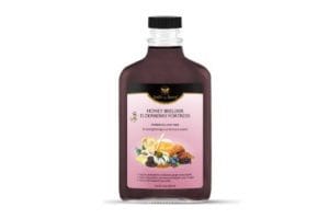 双穴拯救世界 Fortress Beelixir